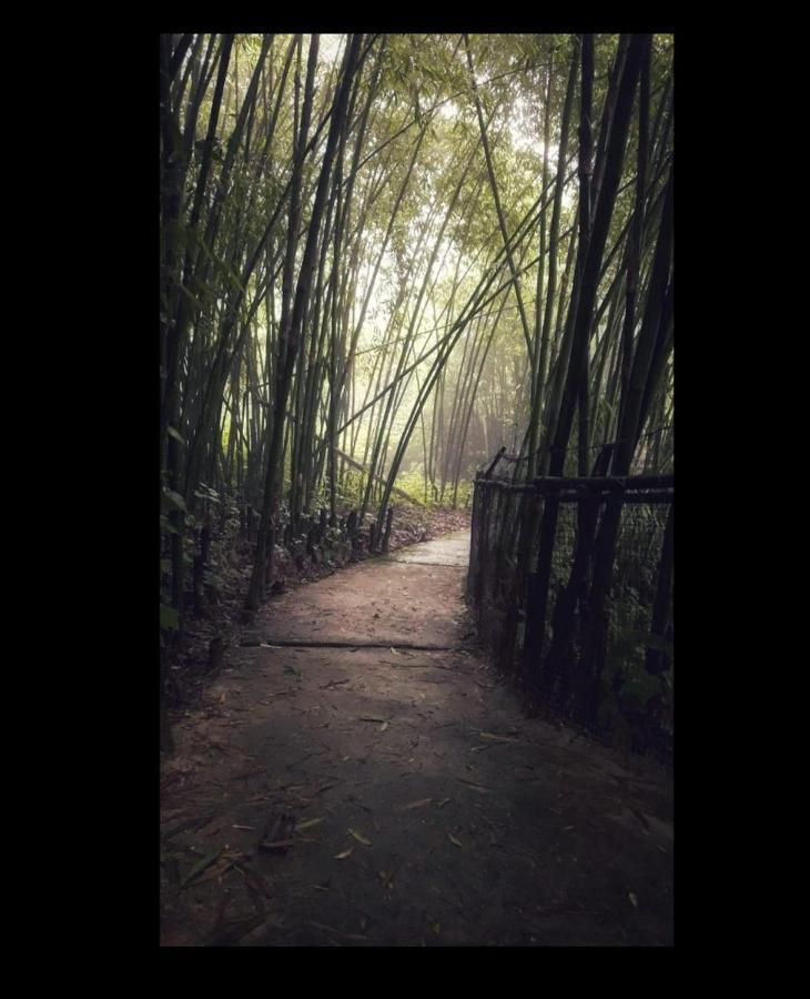 Tenam Garden Homestay 칼림퐁 외부 사진